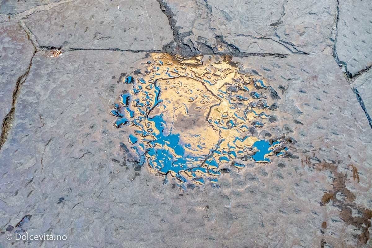 Firenze - Dolcevita.no