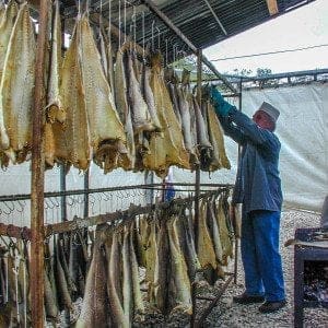borgo a mozzano,klippfisk,vampyrer,haøøoween,djevel