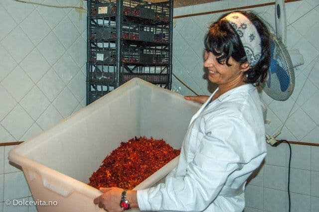 Chili - Peperita - Dolcevita.no