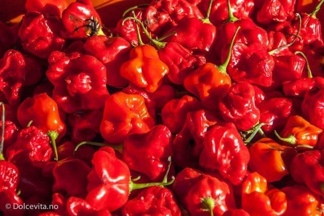 Chili - Peperita - Dolcevita.no