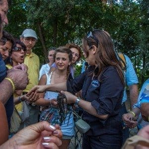 Lakris Amarelli - Dolcevita.no