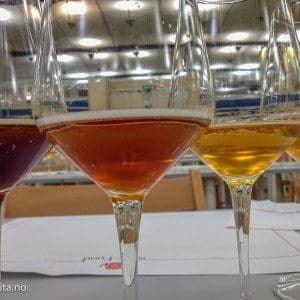Terra Madre - Torino -Ølsmaking - Dolcevita.no