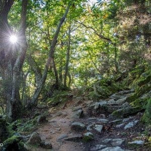 Monte Capanne, Elba - Dolcevita.no