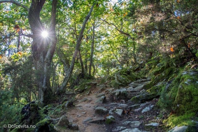 Monte Capanne, Elba - Dolcevita.no