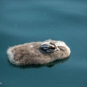 Lago d'iseo - Dolcevita.no