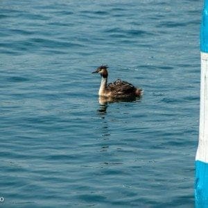 Lago d'iseo - Dolcevita.no