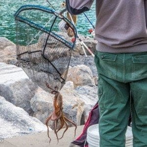 Portovenere - Dolcevita.no