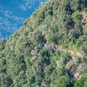 Smale stier går langs skrent og med skog