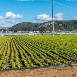 Terracina - Dolcevita.no