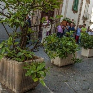 Martina Franca - Dolcevita.no