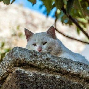 Lipari - Dolcevita.no