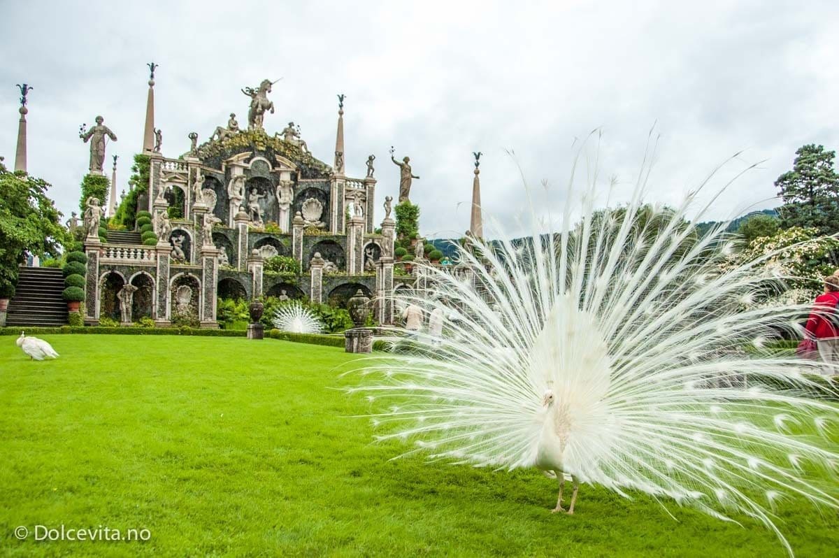 Lago Maggiore - Isola Bella - Dolcevita.no