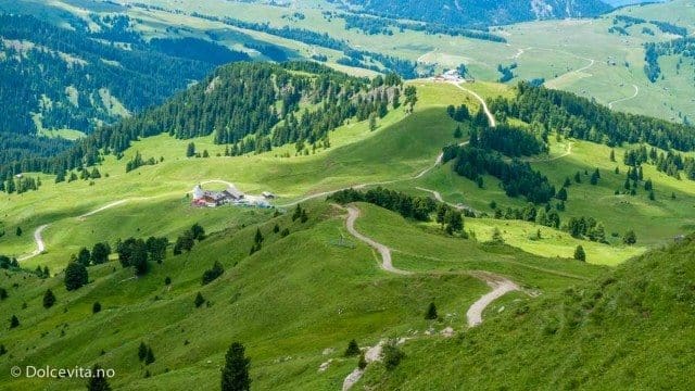 Rundt Sassopiatto - Dolomitten - Dolcevita.no
