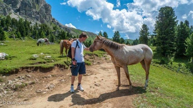 Rundt Sassopiatto - Dolomitten - Dolcevita.no